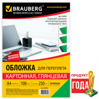  / BRAUBERG,  100, , 4,  250/2, , 530954