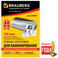 - /- BRAUBERG,  100, 65*95, 100 , 530903