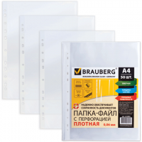 -  BRAUBERG,  100., 4, , , 0,06, 223084