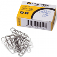  BRAUBERG 28  , 100 .,  . , 221523