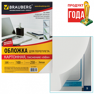  / BRAUBERG,  100,   , 4,  250/2, , 530839