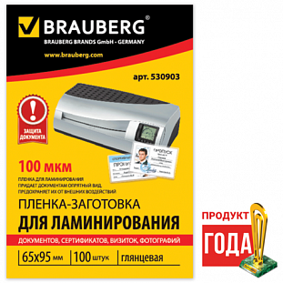 - /- BRAUBERG,  100, 65*95, 100 , 530903