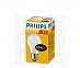 . Philips / 60W E27 FR/A55 (10/120)