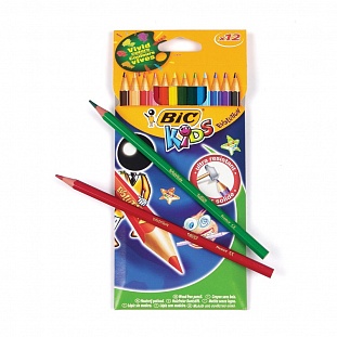   12 6- BIC Evolution 829029