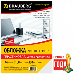  / BRAUBERG,  100, 4,  300 , -., 530939