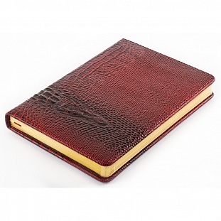   InFolio, Dandy, . .  ,