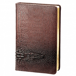   InFolio, Dandy, . .  ,