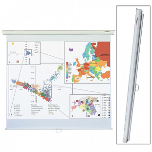 ����� ������������ LUMIEN Eco Picture, ������� ���������, 180*180��, 1:1, LEP-100102