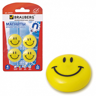  BRAUBERG . 30 , 4 .,  .  , ,  ,231727