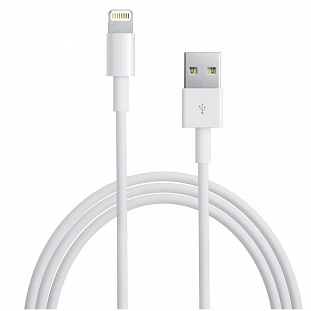  Apple Lightning to USB Cable MD819ZM/A