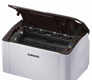  Samsung SL-M2020W (21 /)