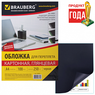  / BRAUBERG,  100, , 4,  250/2, , 530841