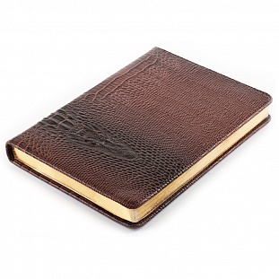   InFolio, Dandy, . .  ,