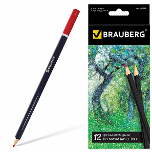   BRAUBERG 12 ,  , ,  , , 180539