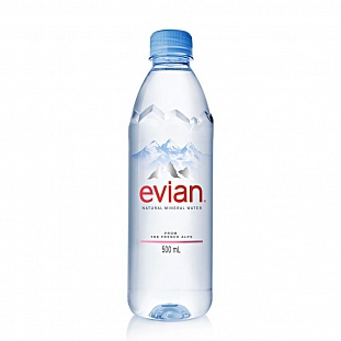 Вода минеральная Evian ПЭТ 0,5л негаз.