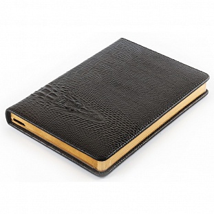   InFolio, Dandy, . .  ,