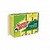 ����� ��� ����� ������ 3� Scotch-Brite � ������� 8��.