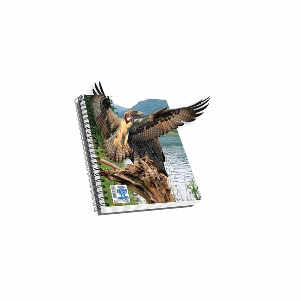 тетрадь общая ученическая. в клетку. пазл 3д леопард 2000. тетрадь a4 80 листов hatber. красная птица тетрадь 48л линейка на спирали.