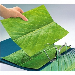 ����� ����-������� Leitz ReCycle �4 90��� 25��. 47913003