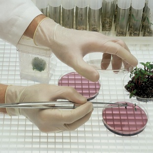 �������� ��� ��� 69-210 ����������(�������� 50���),�.7,5-8