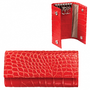 ������ ��� ������ FABULA 