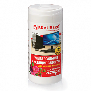   BRAUBERG /  , , ,   100, , 511689