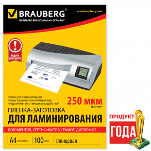 - /- BRAUBERG,  100,   4, 250 , 530897