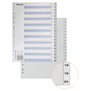   BRAUBERG   4,  1-20,  , 221848