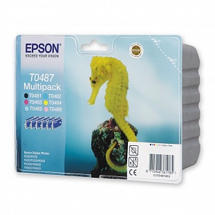   Epson T0487 C13T04874010 CMYKLcLm  St Photo R300 (6)