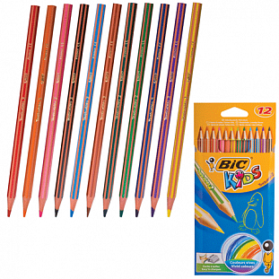   BIC 12., 2,  .,  . .  , 832566