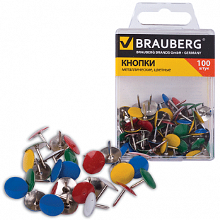   BRAUBERG . , 100 .,  . , 221114