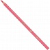   12 6- BIC Evolution 829029