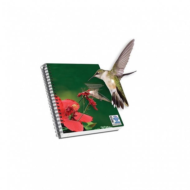 Bruno visconti тетрадь блок. тетрадь а5 erich krause. Erich krause pastel тетрадь. тетрадь а4 широкая линия хатбер 96 л. тетрадь 48 л.