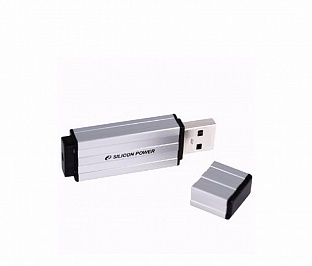 - Silicon Power 4GB Ultima 110 SILVER