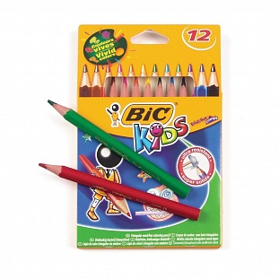   12 3- BIC Evolution 829735