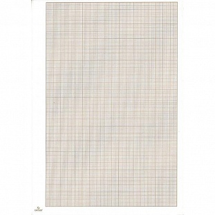 ������ ������������� ������� CANSON (A4, 90�), �����, 50�/���. 