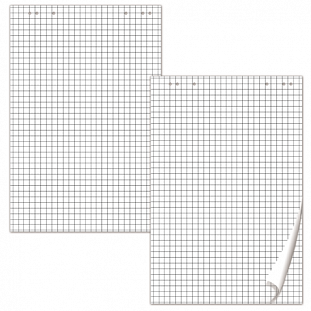    BRAUBERG,  5., 20 ., , 64*96 , 80 /, 124097