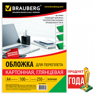  / BRAUBERG,  100, , 4,  250/2, , 530954